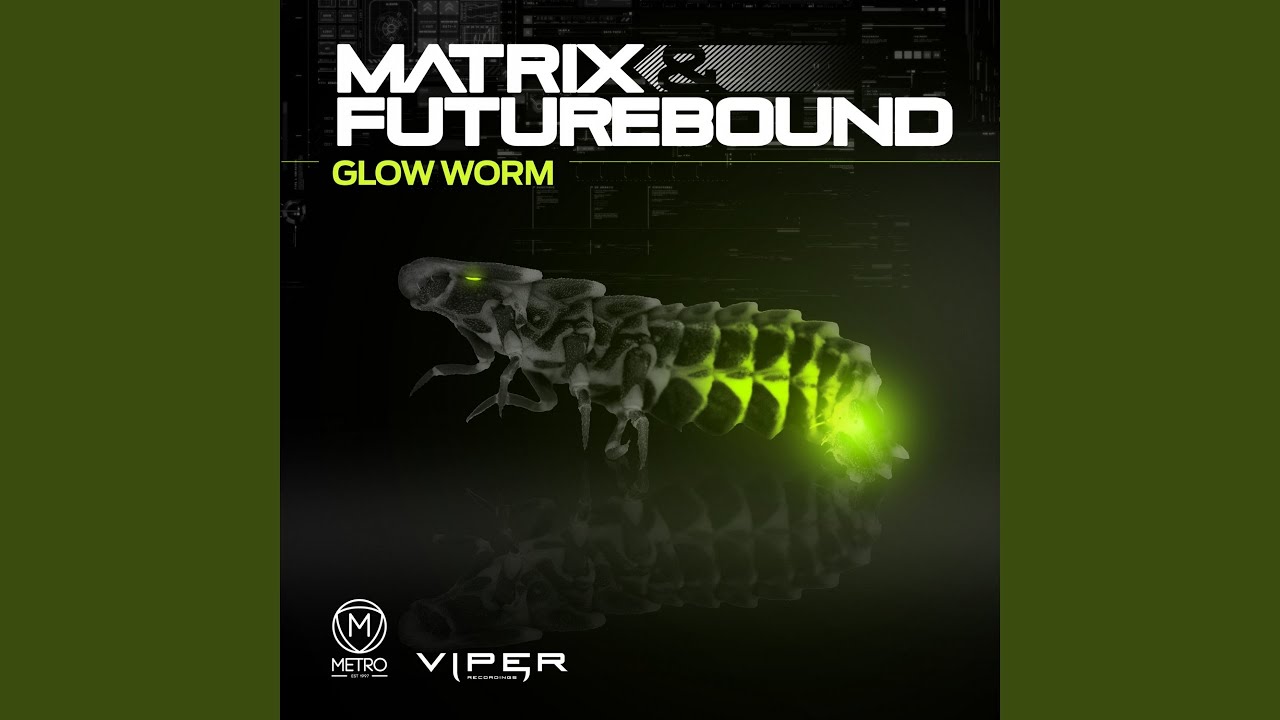 Glow Worm