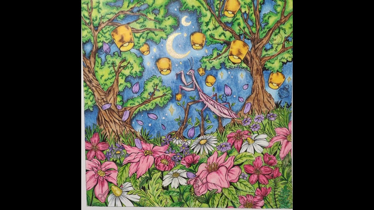 Ma collection de livre et mes coloriages réalisés en 2022 partie 6