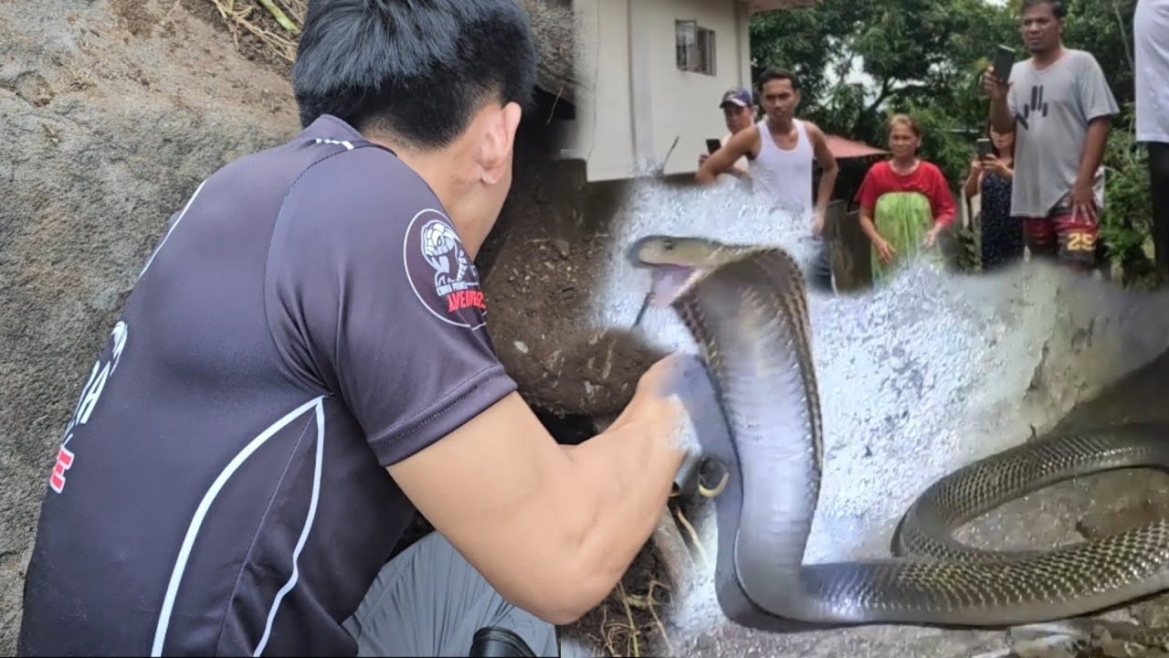 MABANGIS NA COBRA NANG CAVITE