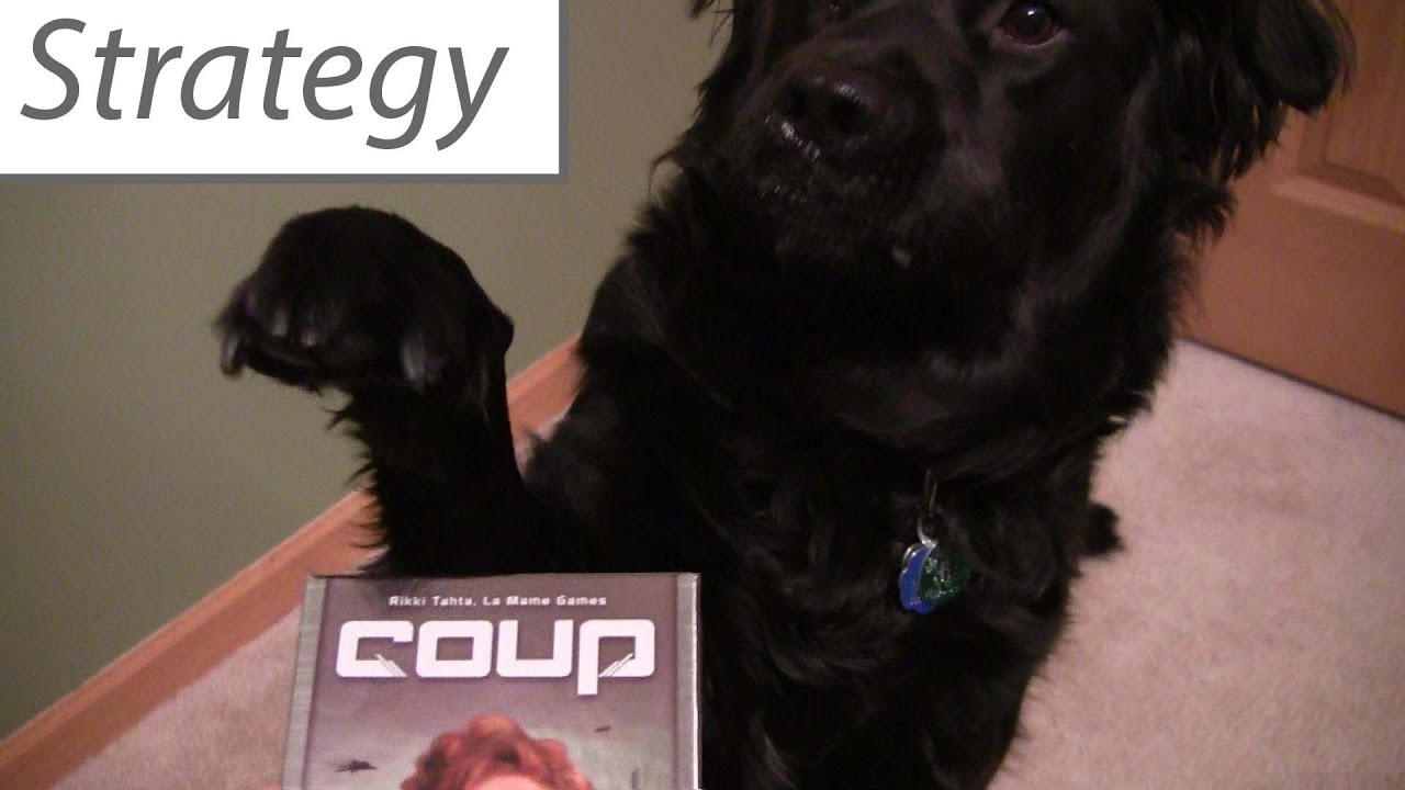 Coup Strategy Primer