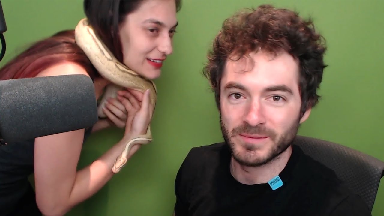 Snake Heist Gone Wrong