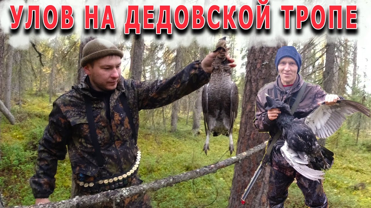В тайгу на неделю с Коляном. День7. Проверяем петли, радуемся добыче.