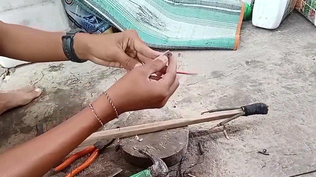 Day1 cara membuat spergun ikan