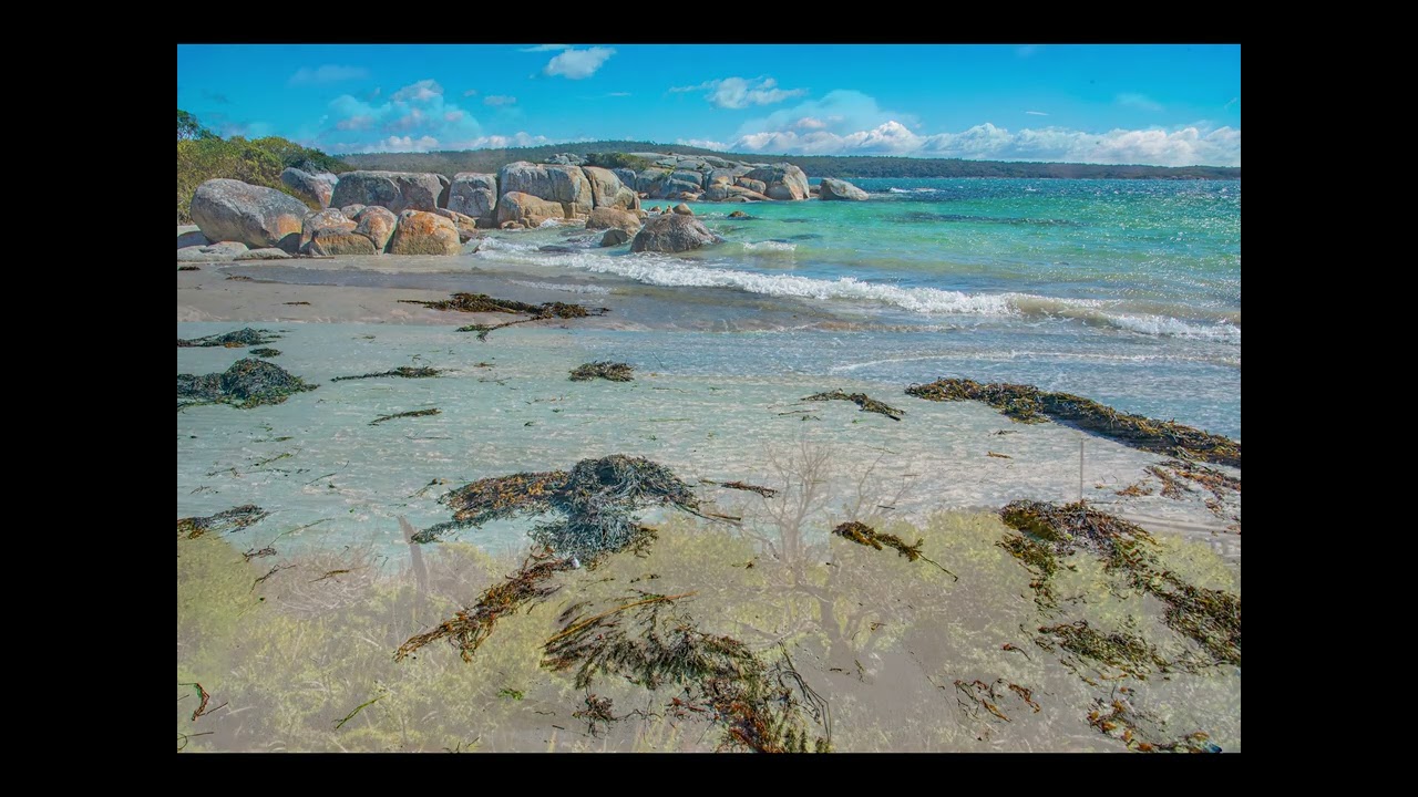 Bicheno to Bay of Fires a day trip
