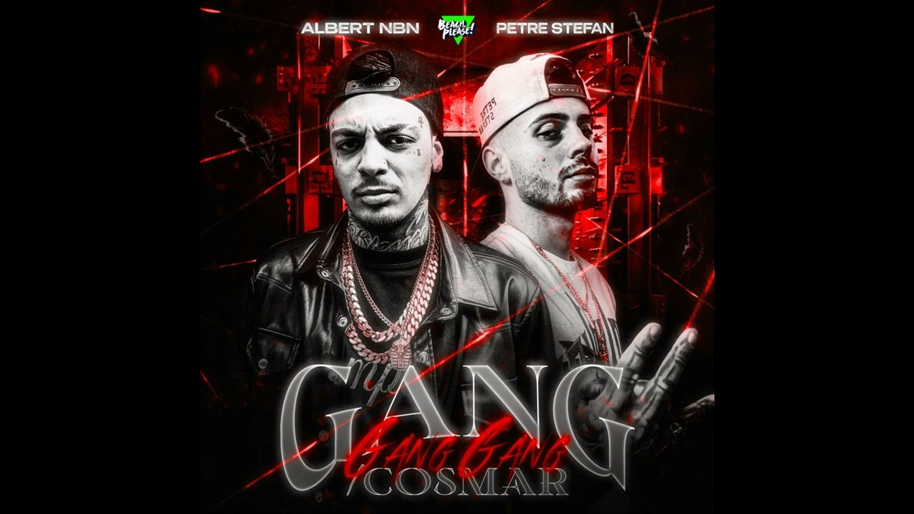 [FREE] ALBERT NBN X PETRE STEFAN Type Beat 2024 "GANG" (prod. rvdu x kidvidda)