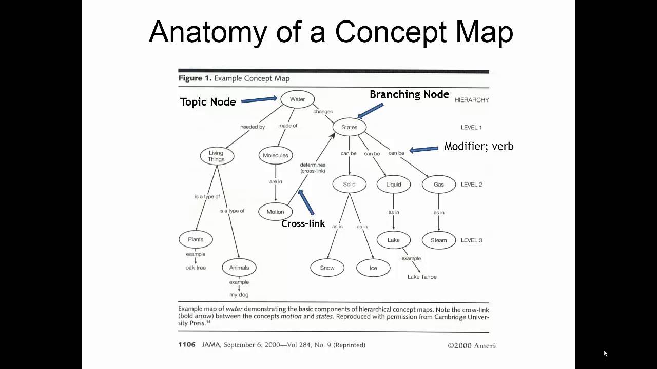 video 5 concept mapping and brain skills