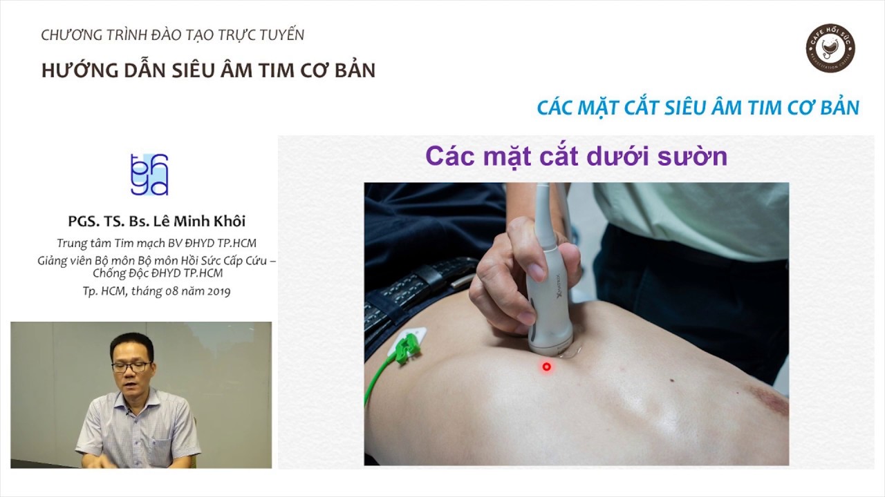 Siêu âm tim cơ bản. Bài 2: Các mặt cắt siêu âm tim cơ bản  (Phần 1: Các mặt cắt dưới sườn).
