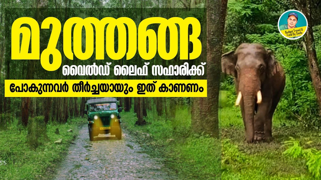 Wayanad muthanga forest wildlife sanctuary | Jeep safari at muthanga wildlife sanctuary |