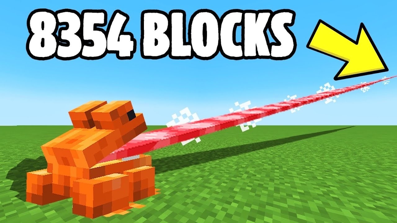 TÔI ĐÃ PHÁ 28 KỶ LỤC MINECRAFT TRONG 24H