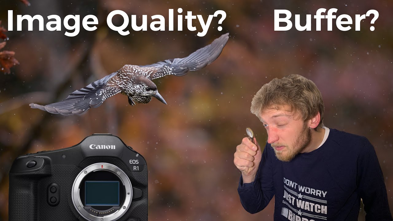 Canon R5 II & R1 : RAW or cRAW for wildlife & memory card recommendation