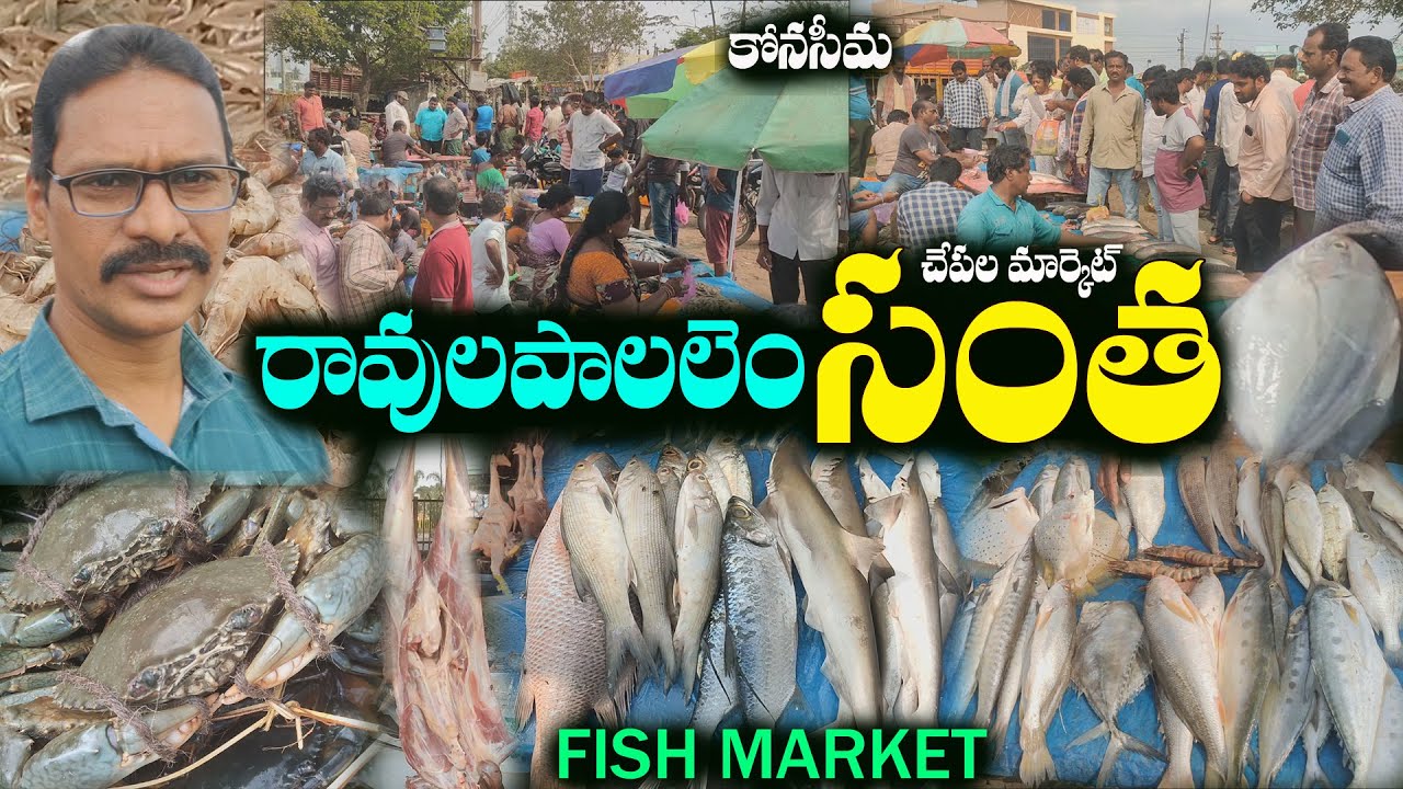 Ravulapalem santha fish market konaseema రావులపాలెం సంత చేపల మార్కెట్ కోనసీమ రొయ్యల పీతలు chiken