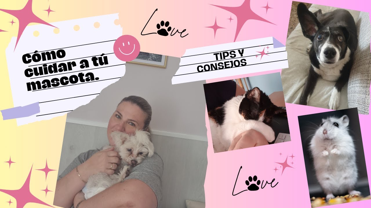 💖💝COMO CUIDAR A TUS MASCOTAS.🐇🐈‍⬛🐩  Tips y consejos.