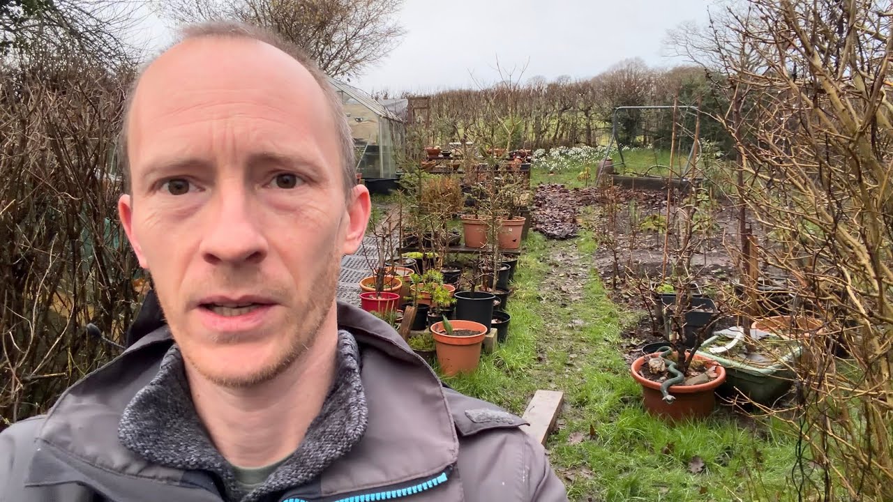 Garden Update - Fruit Veg Bonsai Trees - Feb 2026