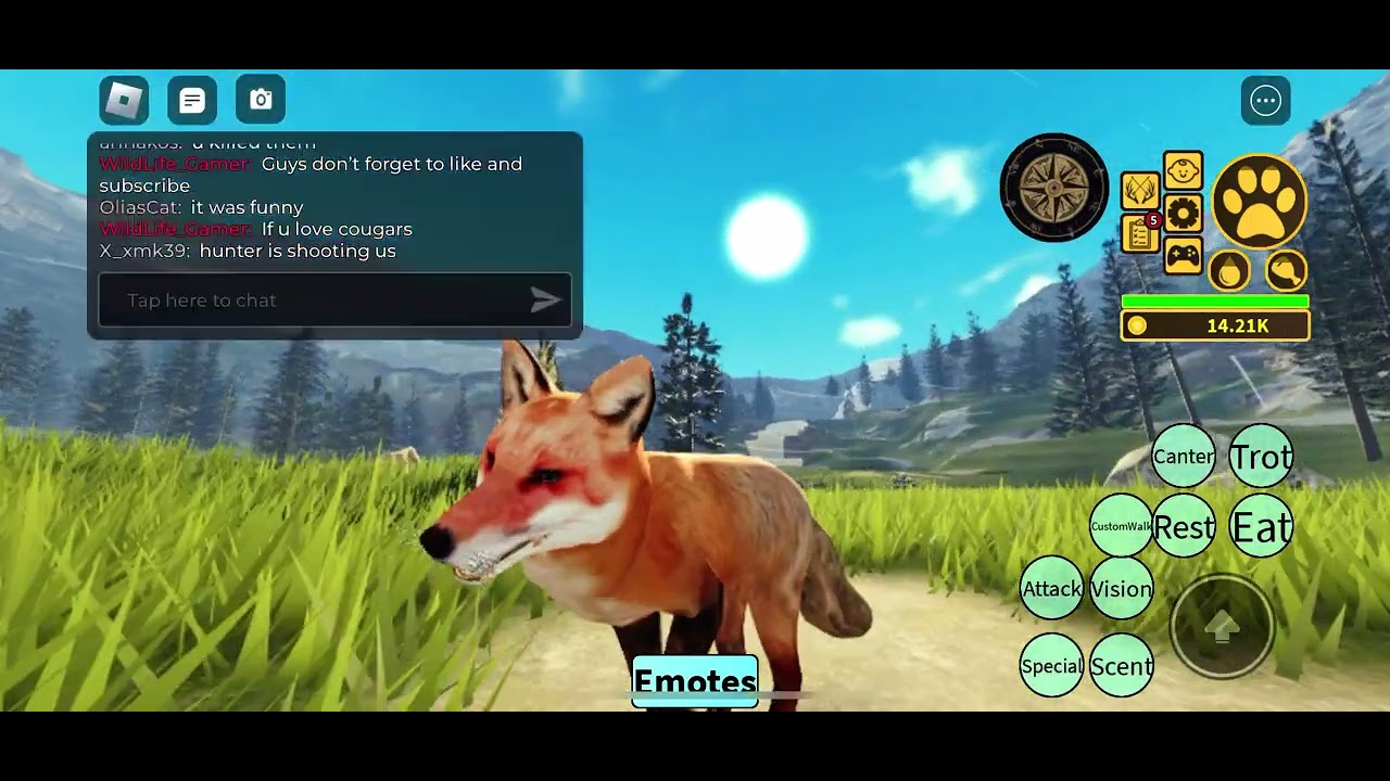 Surviving as a red fox in Yellowstone unleashed