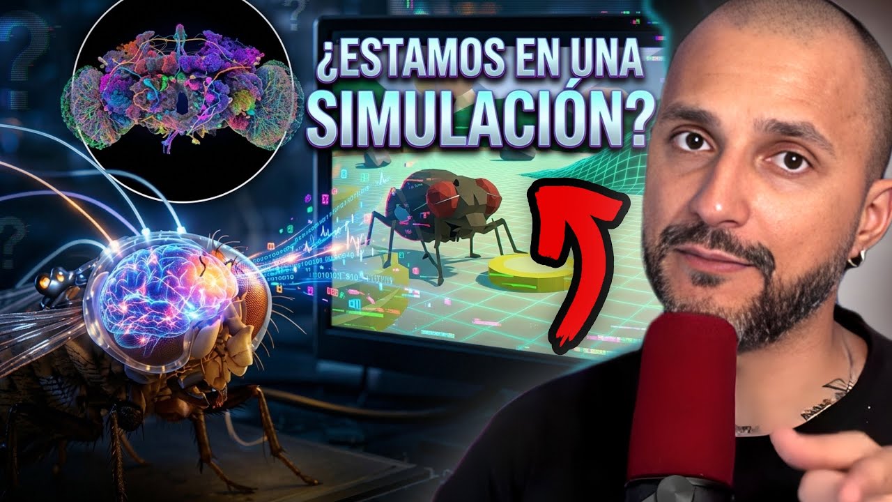 SUBIERON EL CEREBRO DE UNA MOSCA A UN COMPUTADOR … ¿VIVIMOS EN UNA SIMULACIÓN? | MUÑE 