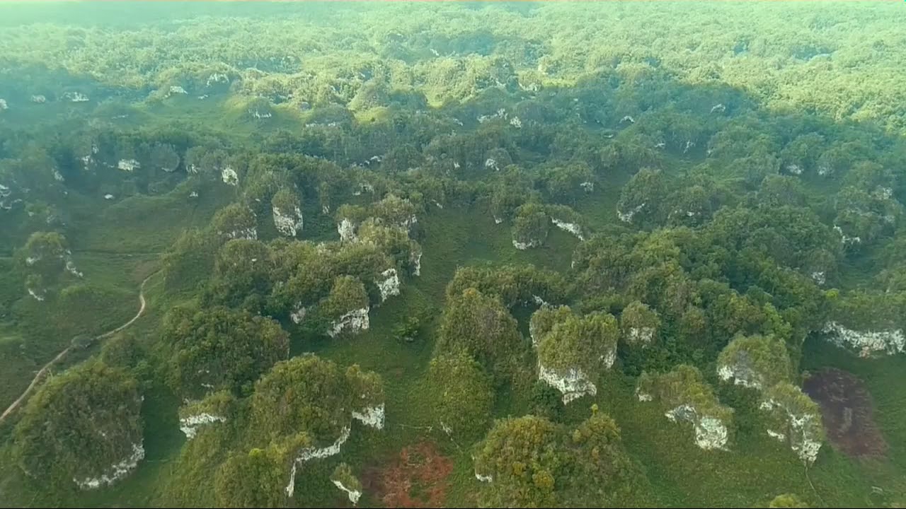 Muna, The Karst Island in Indonesian