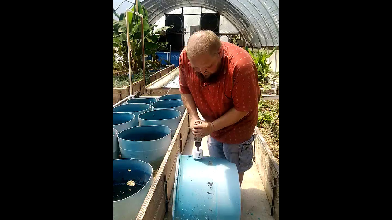 TERRAPONICS  HOW-TO PART 1