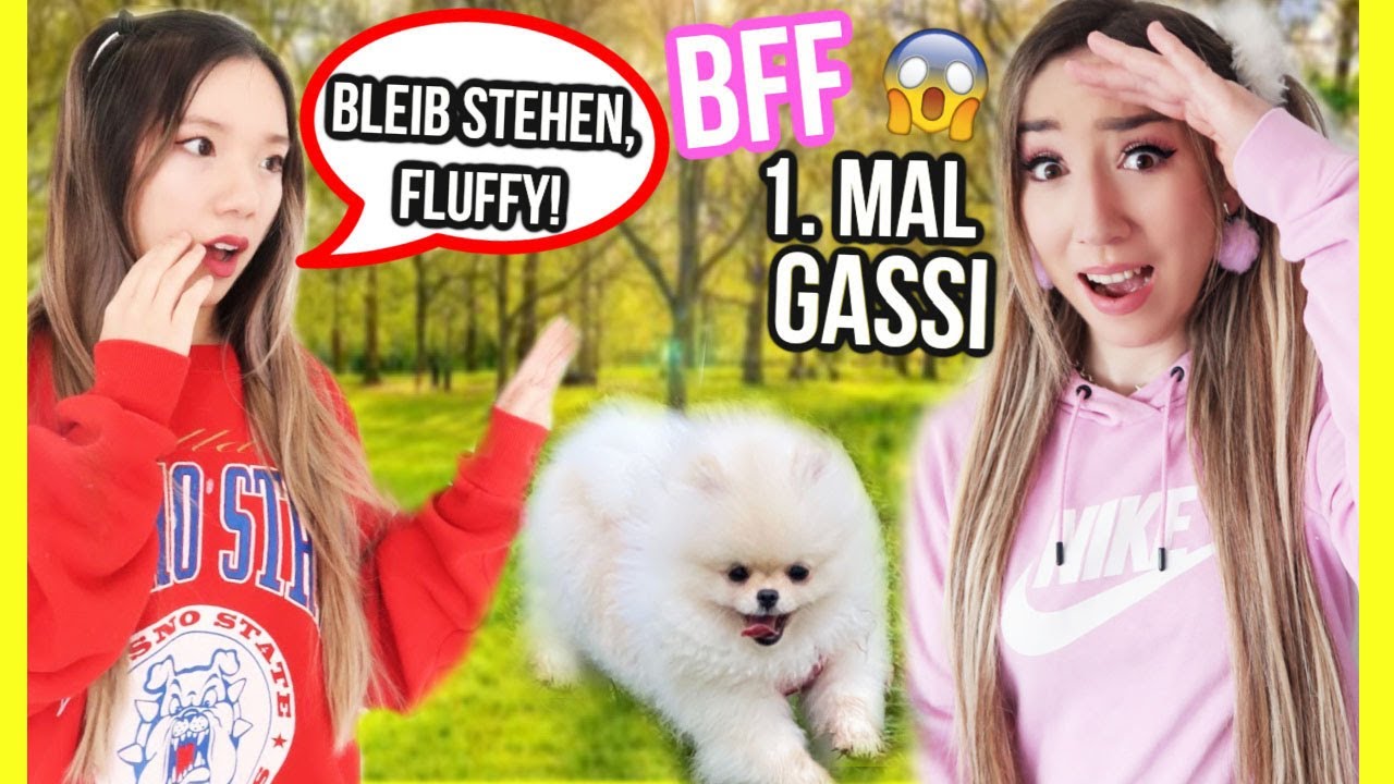 24 STUNDEN ⏰ wer ist 💪 BOSS auf der STRASSE in HAMBURG **THI LAN vs. 🐶 BABY WELPE FLUFFY**