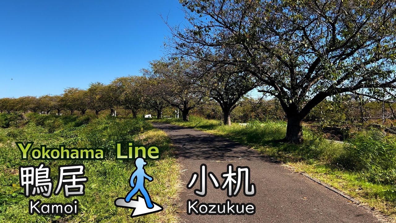 【JR横浜線 #15】鴨居駅から小机駅まで散歩／Take a walk from Kamoi Station to Kozukue Station