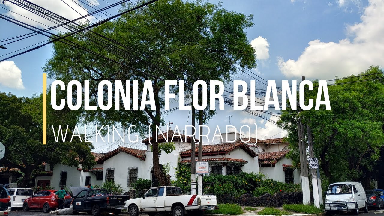 (Narrado) Caminata por la Colonia Flor Blanca de San Salvador, El Salvador (2020)