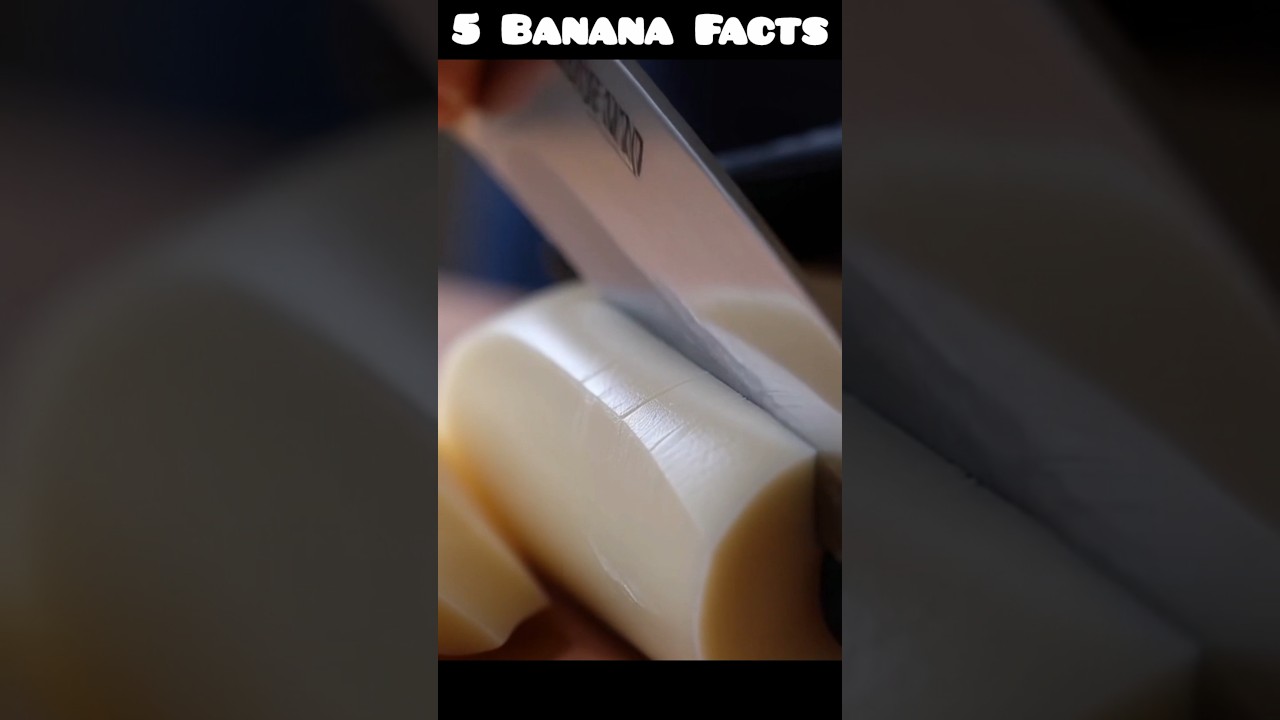 Top 5 Banana Facts 🍌| Fact Shot | 