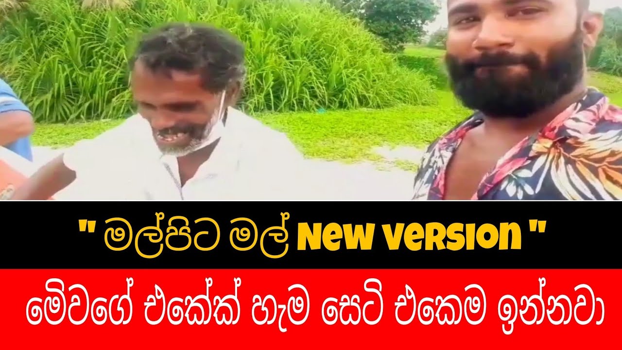 Malpita mal | මල්පිට මල් | New version | Sri lanka | Amal perera song