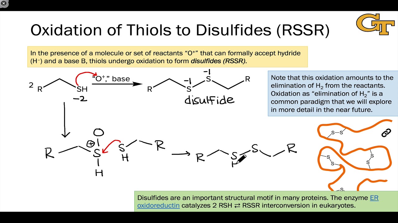 03.03 Oxidation Reactions of Thiols