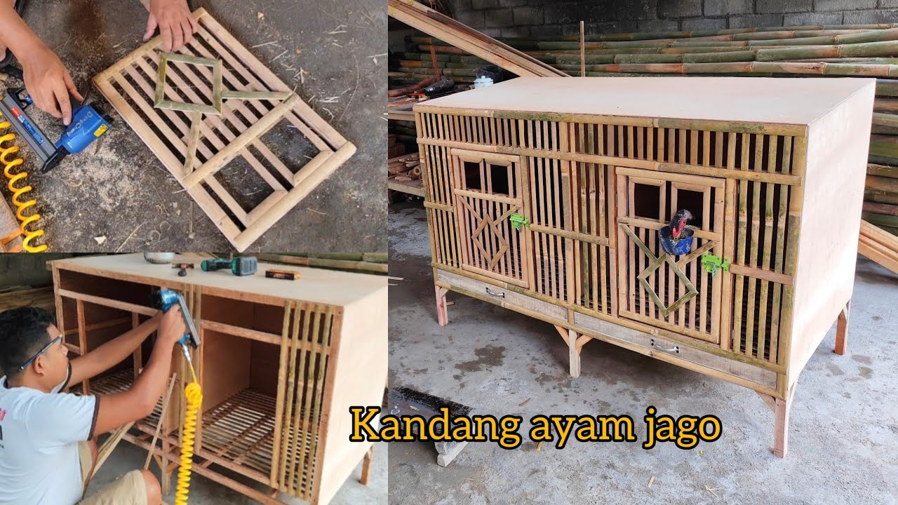 Membuat kandang ayam jago 2 ruang yang simple dan bagus