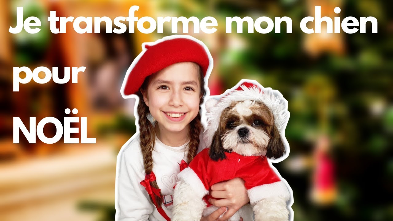 JE TRANSFORME MON CHIEN POUR NOËL ET JE LUI FAIS SA WISHLIST DE NOËL 2020🎄 // KIARA PARIS 🌸