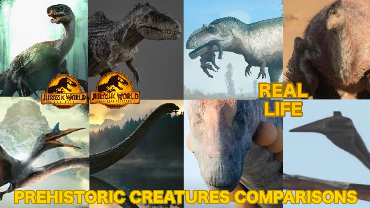 Jurassic World Dominion vs Real Life Prehistoric Creatures Comparisons