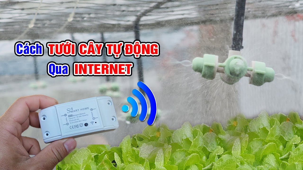 Cách tưới cây tự động qua mạng internet