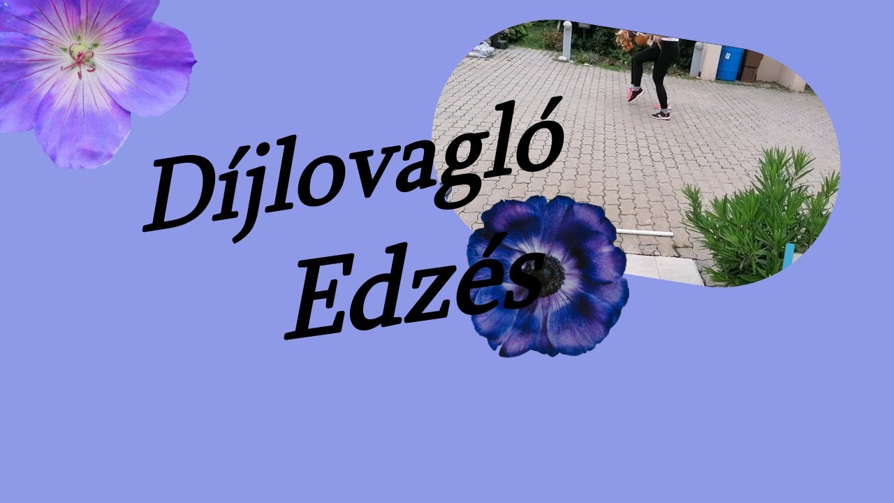 🐴😊Díjlovagló edzés a 🥰Hobbyhorseokkal | Szofras Horses