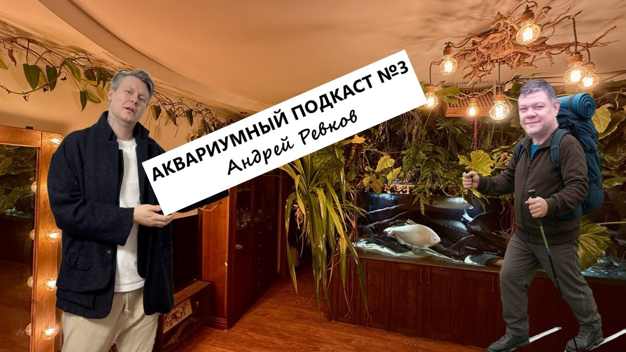 Аквариумный подкаст №3 - Андрей Ревков / Андрей Иваныч 