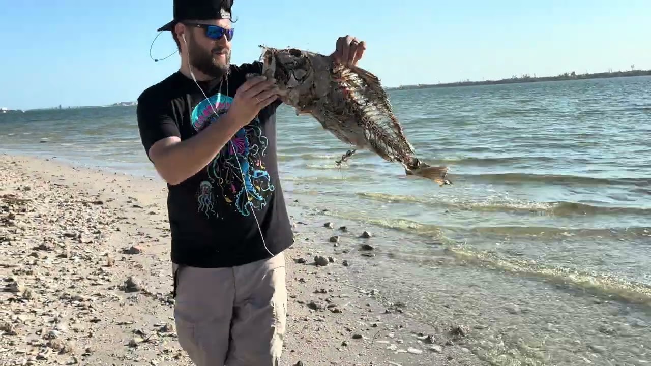 Catch of the Day name this fish