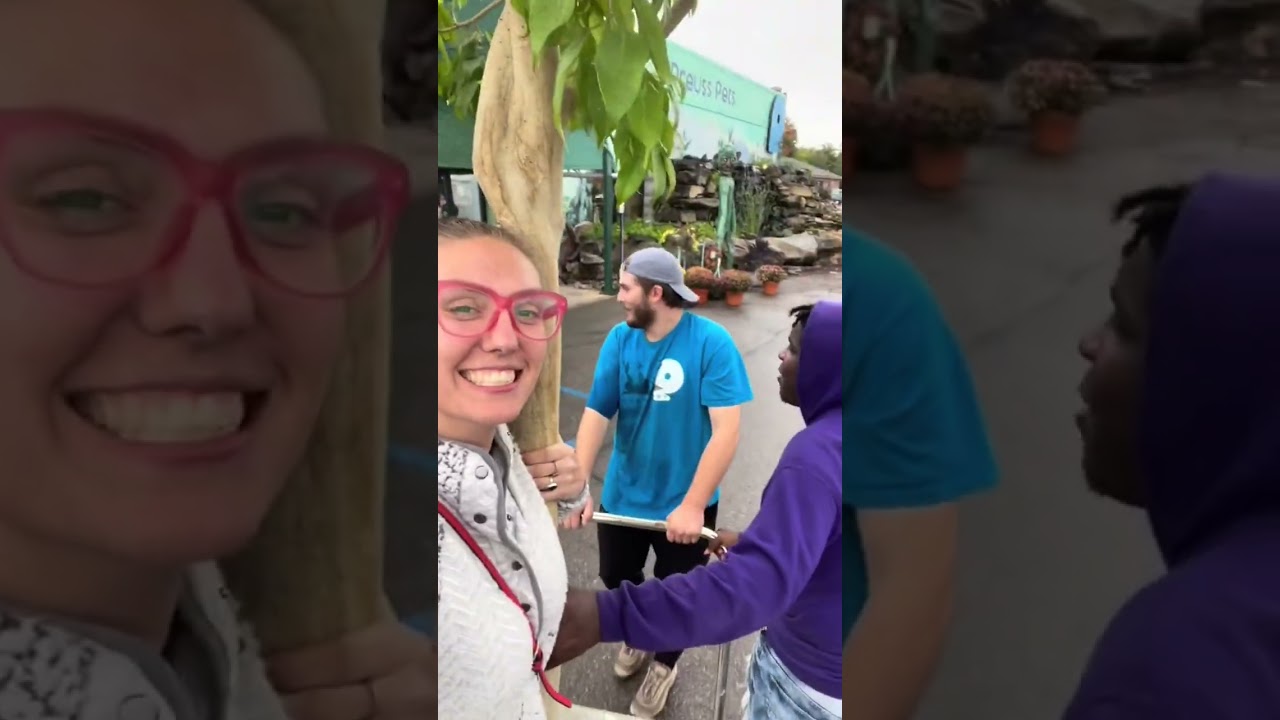 Getting a giant ficus tree for an indoor river #plantadventures #ficustree #hugeplants #housejungle