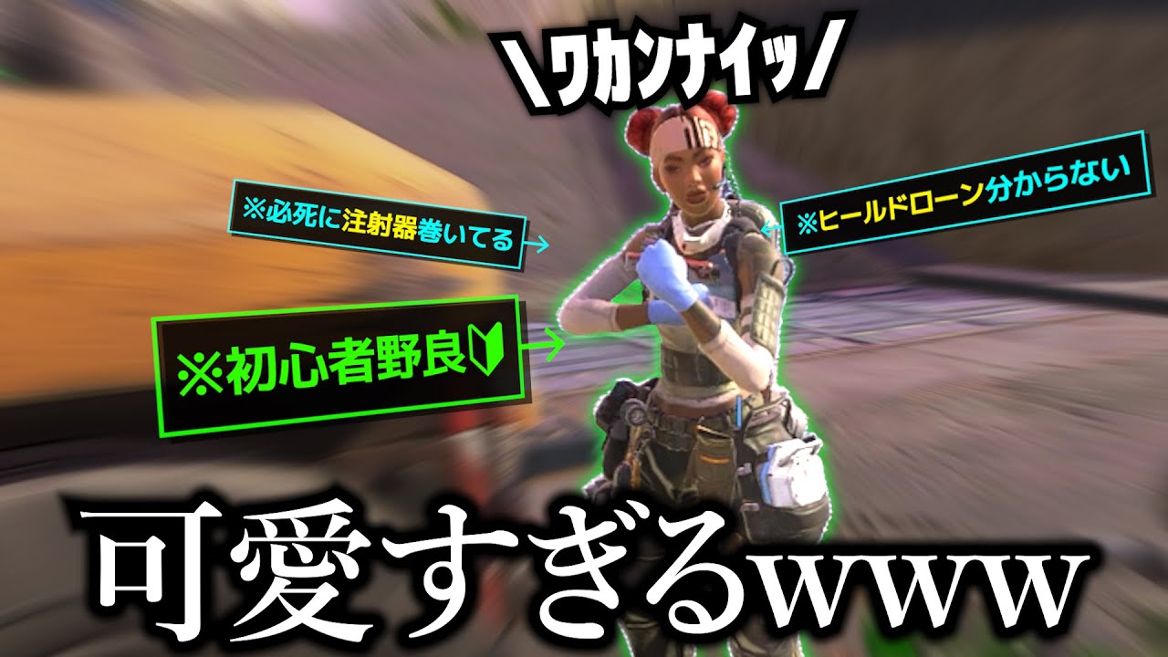何も分からない初心者野良ライフラが可愛すぎる【APEX】