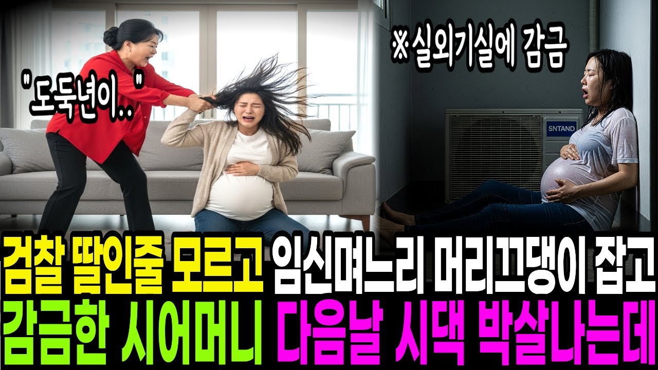 검찰총장의 딸인줄도 모르고 임신한 며느리 머리카락 잡아 내쫓은 시어머니, 다음날 시댁 박살냈습니다