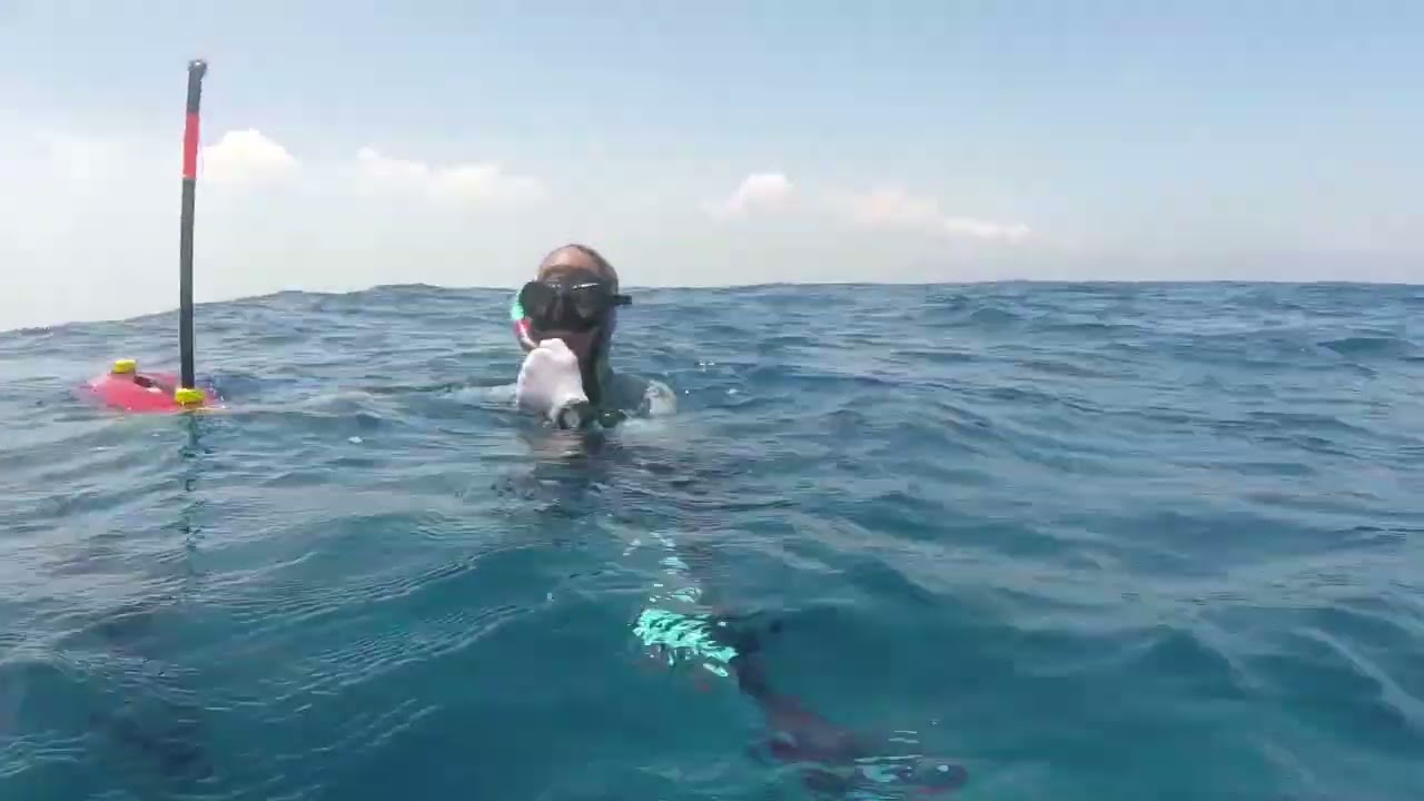 Nuevos fondos (buenas capturas)