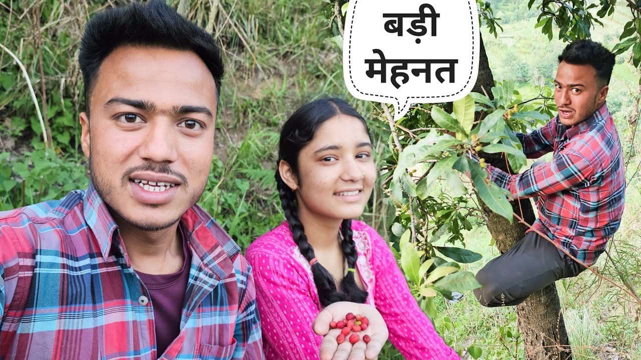 जंगली फल की खोज मेरी और निकिता की मेहनत || Pahadi Lifestyle || Namaste Pahad || Ashutosh Negi