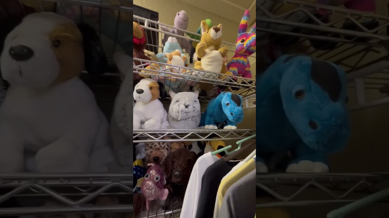 #autism #autismawareness #autistic #webkinz #collection #wholesome