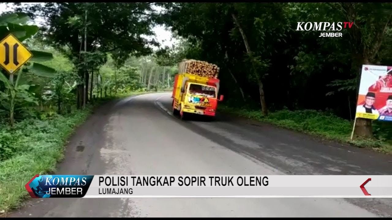 Viral Di Media Sosial, Sopir Truk Oleng Menyerahkan Diri