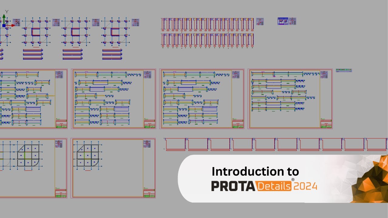 Introduction to the ProtaDetails 2024