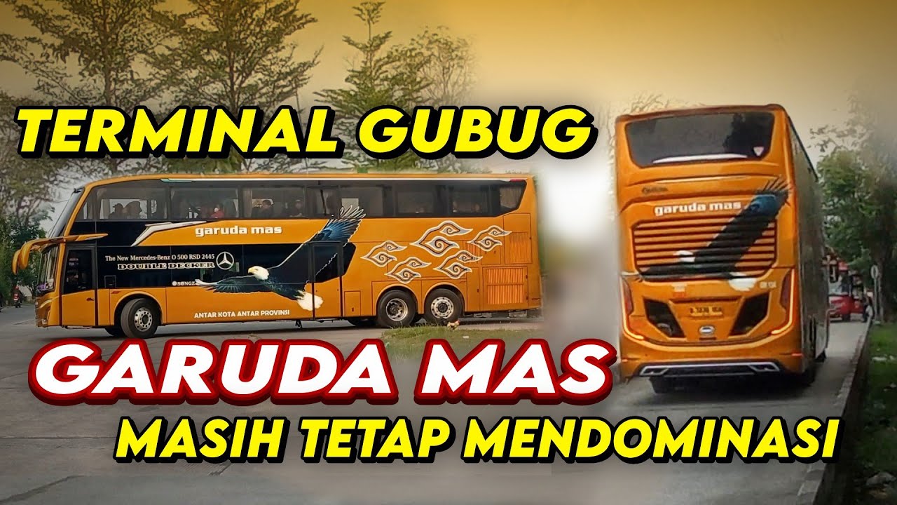 Terminal Gubug masih tetap didominasi garuda mas paling Banyak yang masuk