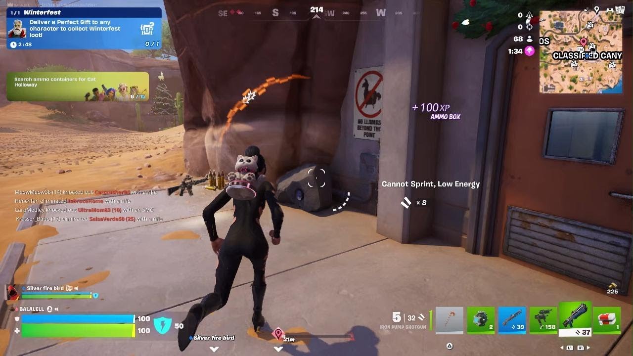 Fortnite_พา Lisa มาออกรบ