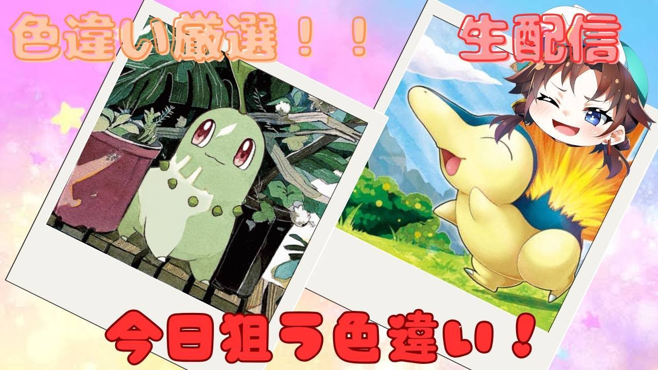 色違い厳選します！