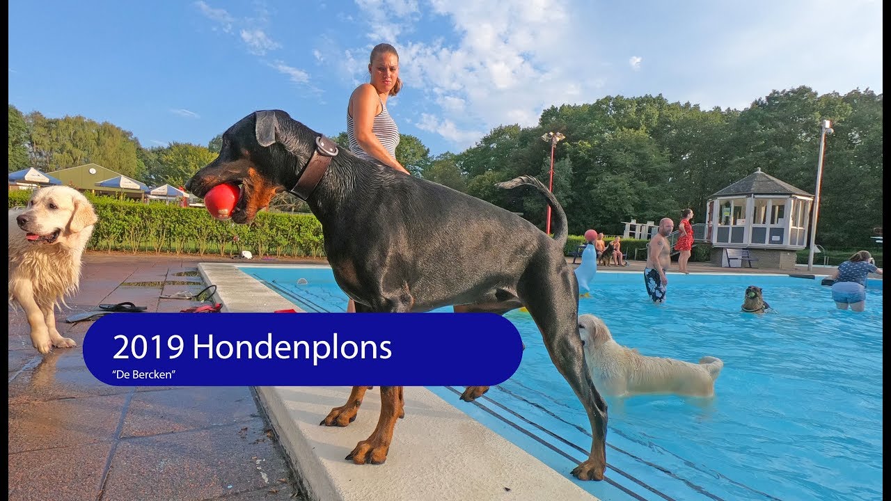 2019 Hondenplons, zwembad “De Bercken” Reuver