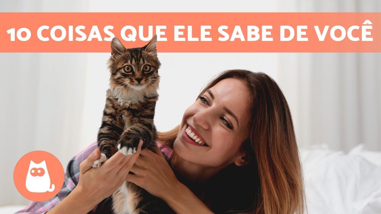 10 COISAS que seu GATO SABE sobre VOCÊ 🐱❤️