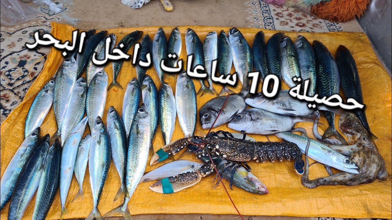 202 - 🕙10 ساعات داخل البحر بسيدي رحال 🐟😉