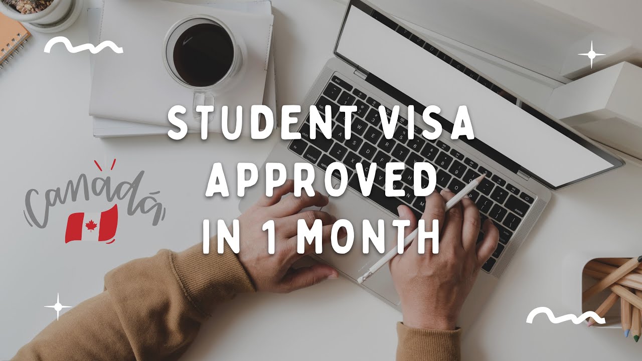 Canada DIY Student Pathway | Bow Valley College