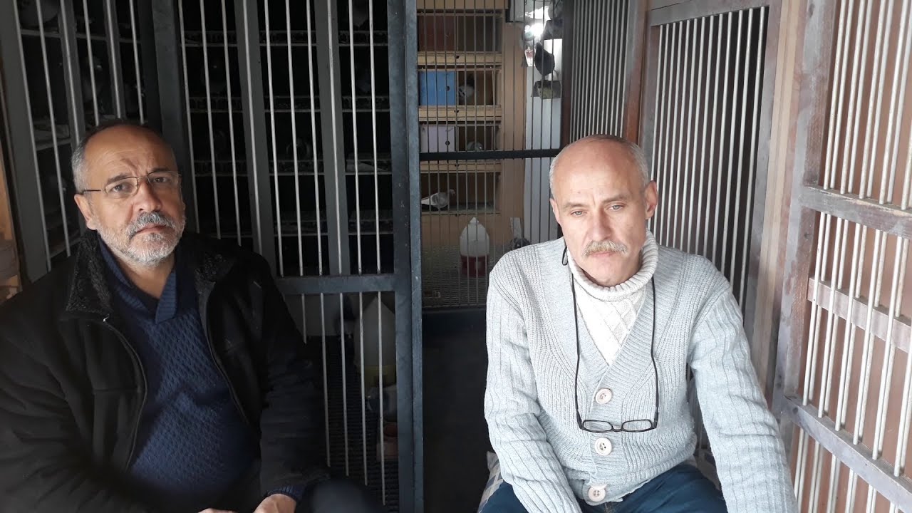 YARIŞ POSTALARI HAMDİ SEVİNÇ KÜMES ZİYARETİ !!! YENİ YARIŞA BAŞLICAKLARA ÖNEMLİ TAVSİYELER .